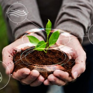 Agriculture