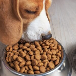 Pets Food
