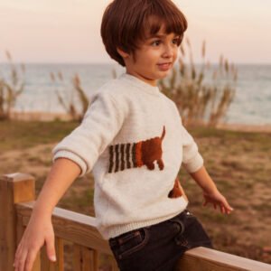 Boys T-Shirts