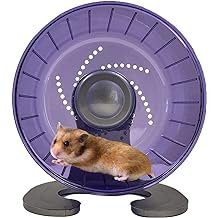 Wheels for Exercise