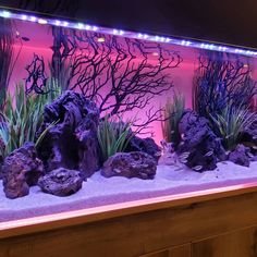 Decorations for Aquarium
