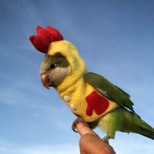 Customized Bird Items