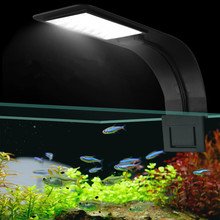 Lights for Aquarium