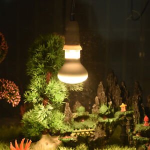 Lights for Habitat