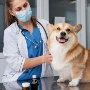 Pet Vet