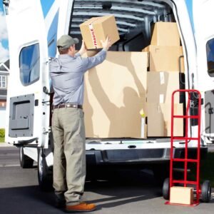 Delivery & Transportation Services