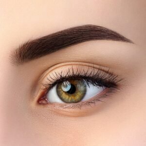 Eyebrow Powder & Tinting