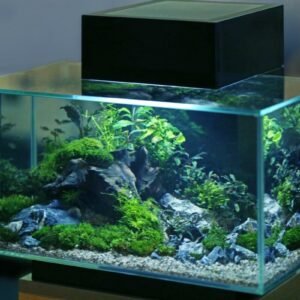 Pre-owned Aquariums & Accessories