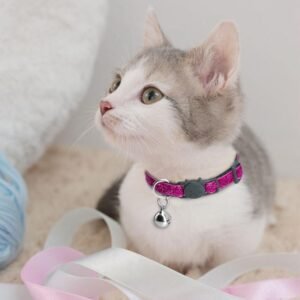 Pre-owned Cats & Accessories