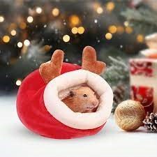 All Small Pets & Accessories