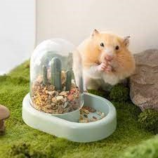 Supplies for Feeding and Watering