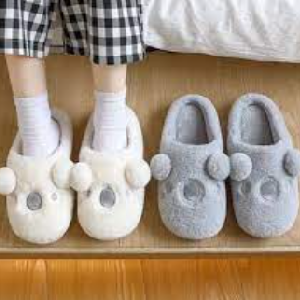 Home Slippers & Shoes