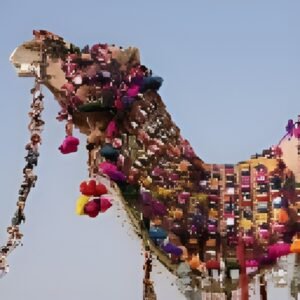 Pre-owned Horses & Camels Accessoires