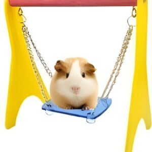 Toys for Small Pets