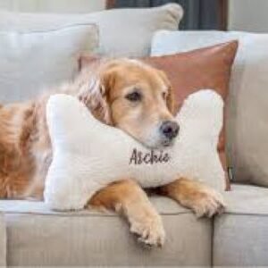 Pet Personalized Clothes & Products